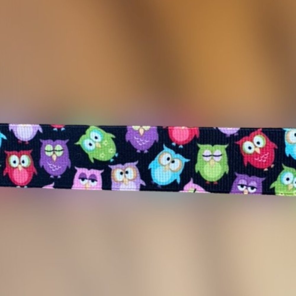 Black Grosgrain Ribbon with Multi Colored Owls ****ALL RIBBONS BUY 2 GET 1 FREE